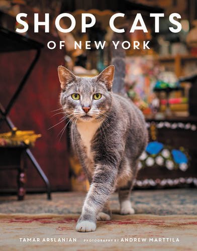 shop-cats-of-new-york